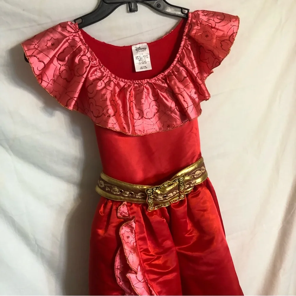 Disney Little Girl Costume.